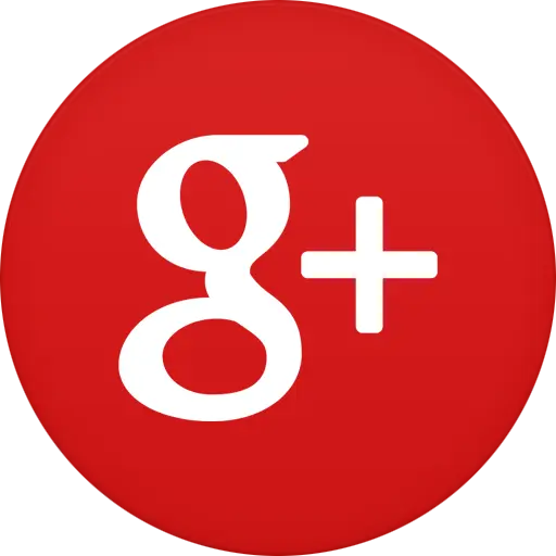 Dominos India Google Plus